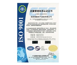 ISO Quality Management System Certification-Chinese