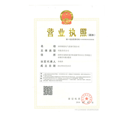 Three-in-one business license (copy)